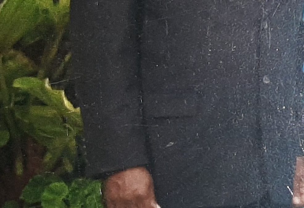 Alkins Kirton