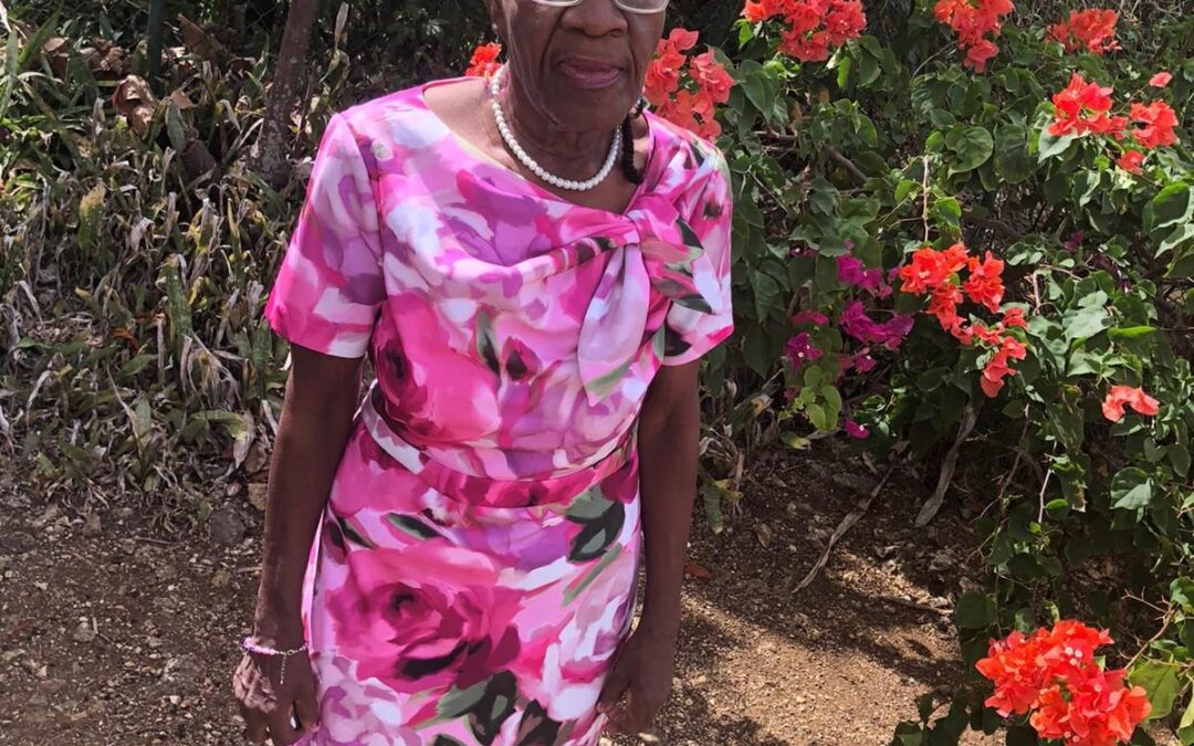 Auriol Consula Pilgrim